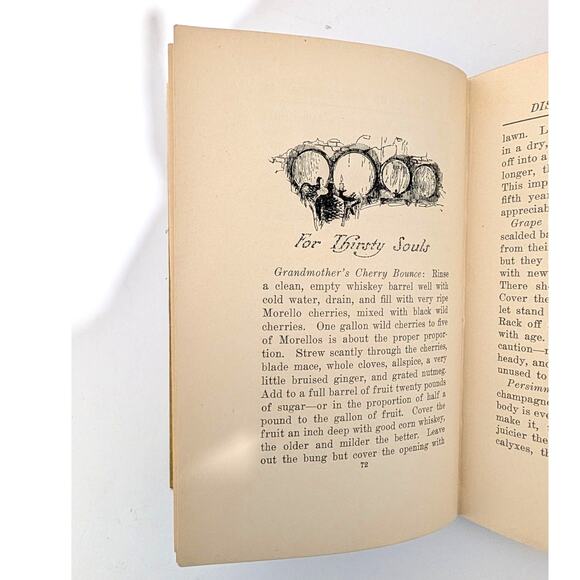 Dishes & Beverages of the Old South Cookbook 1913 Martha McCulloch-Williams - Picture 11 of 16